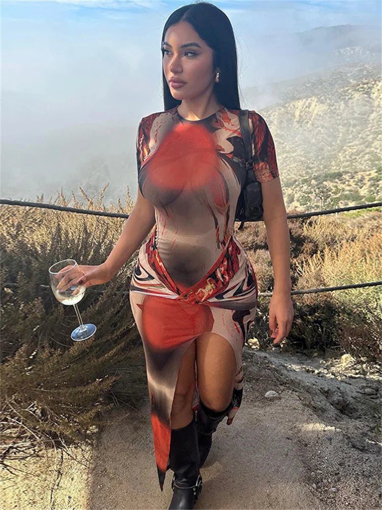Mesh Perspective Printed Dress