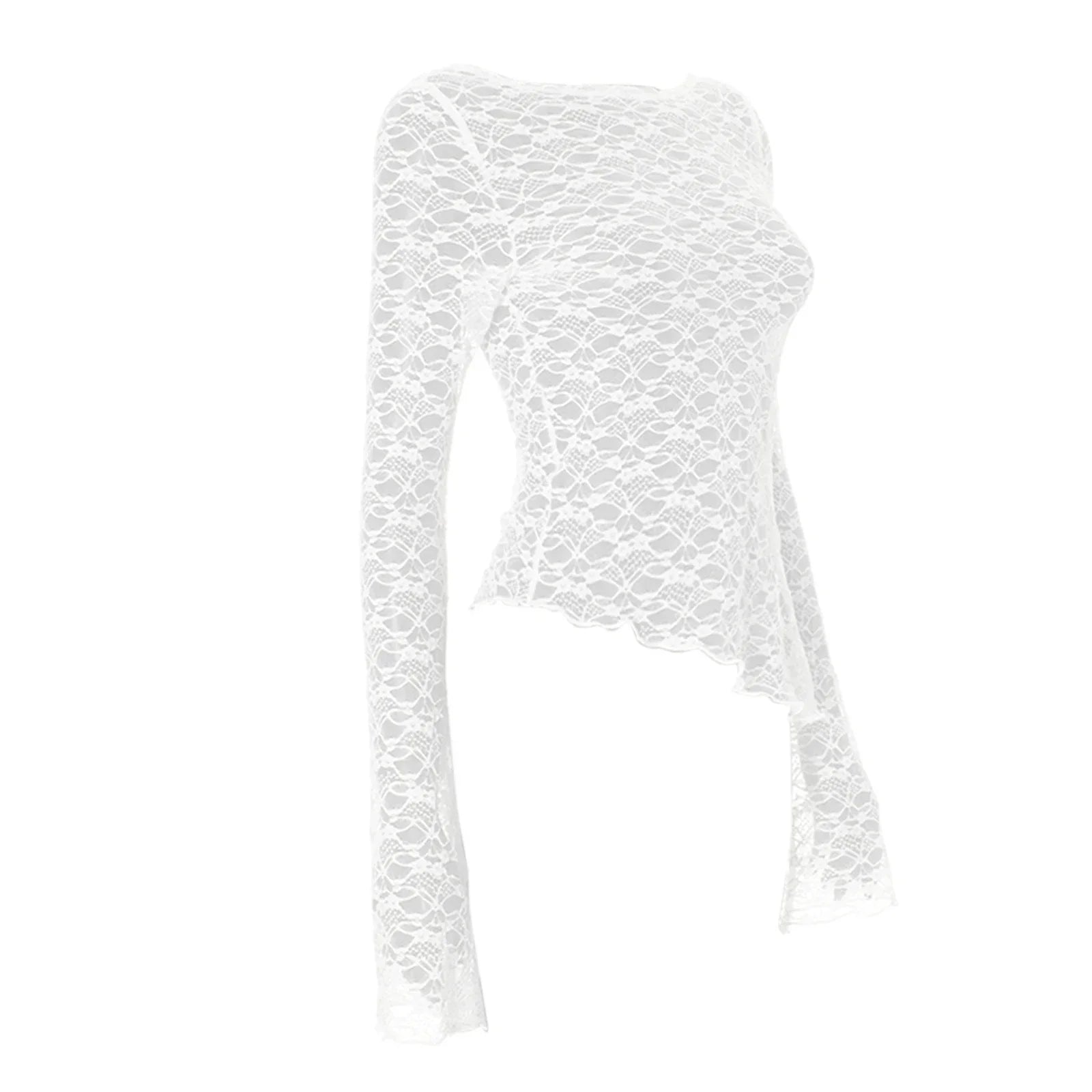 Sexy Lace Long Sleeve Perspective Y2K Top